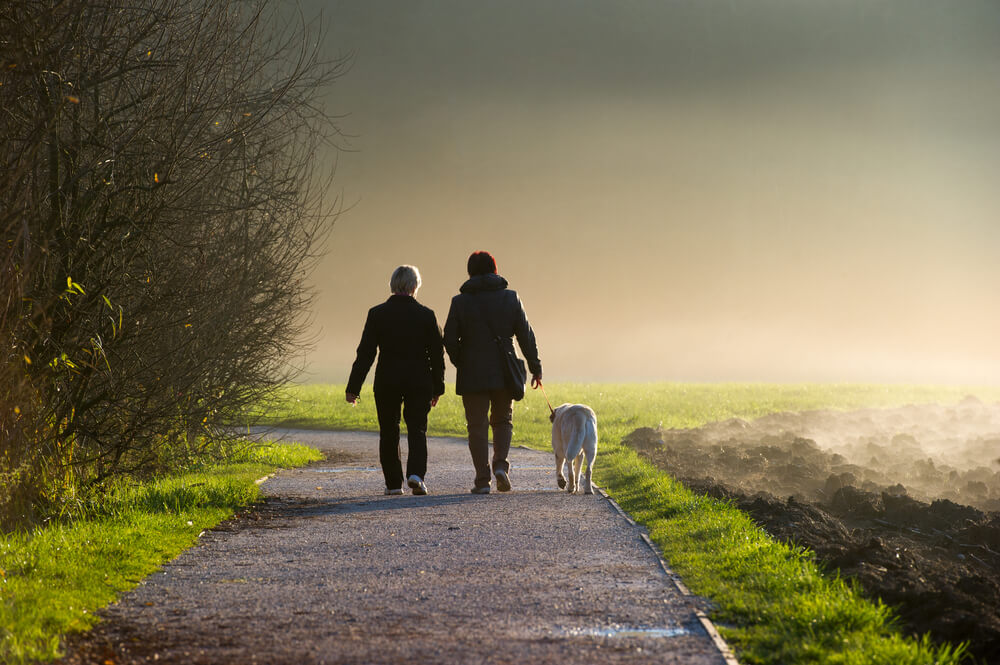 Country walk