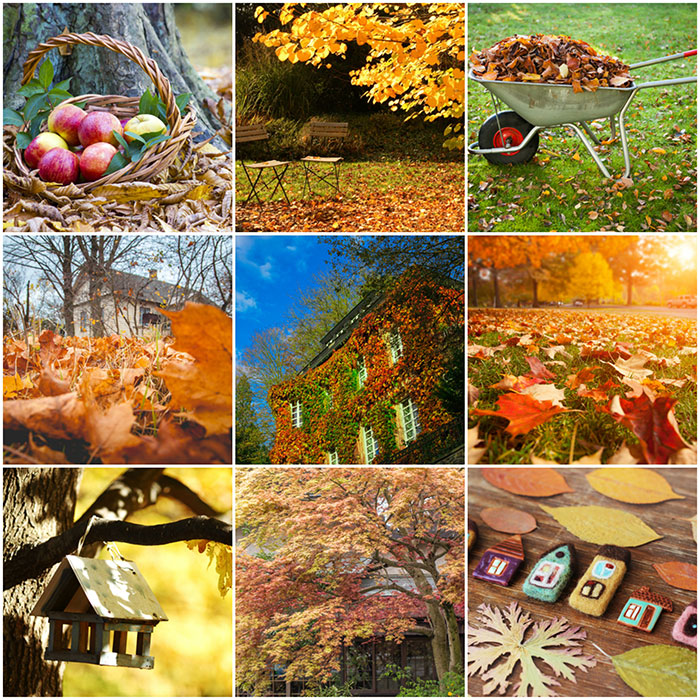 autumn-property