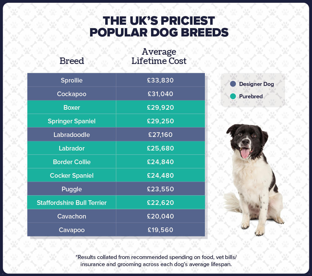 lifetime dog costs